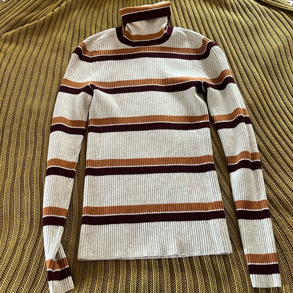 Everlane knit striped turtleneck
